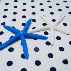 Μεγάλος διακοσμητικός αστερίας ΔΒ111 Μεγάλος διακοσμητικός αστερίας ΔΒ111