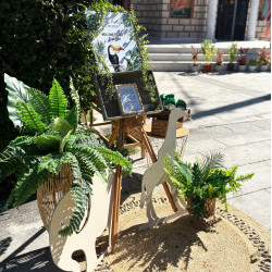 Στολισμός βάπτισης "Tucan" ΣΤΟΛ244