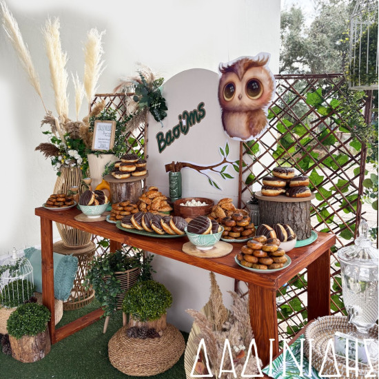 Στολισμός βάπτισης "Κουκουβάγια" ΣΤΟΛ242