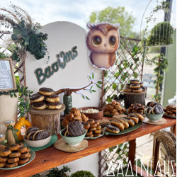 Στολισμός βάπτισης "Κουκουβάγια" ΣΤΟΛ242