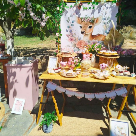 Στολισμός βάπτισης "Ελαφάκι" ΣΤΟΛ240