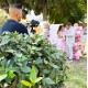 Στολισμός βάπτισης "Πεταλούδα" ΣΤΟΛ255